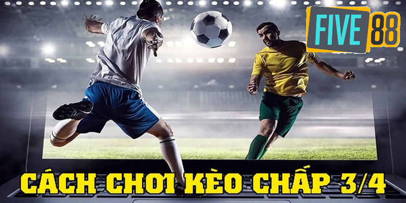 Trường hợp người chơi nên đặt kèo cửa dưới