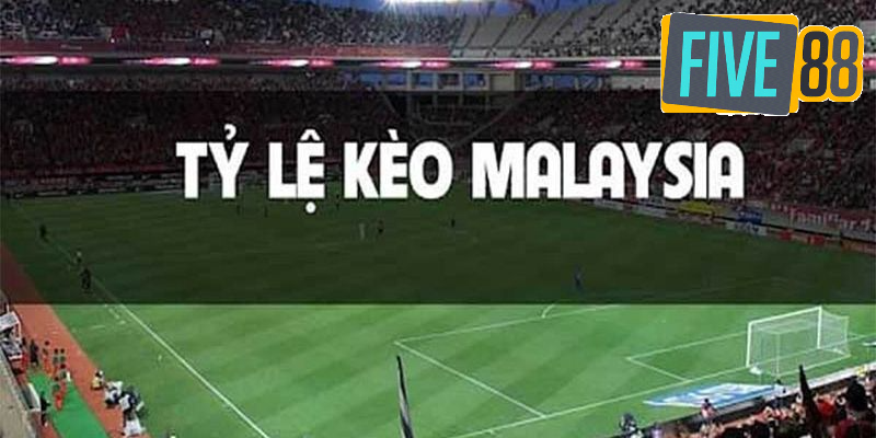 Kinh nghiệm hay khi soi kèo Malaysia