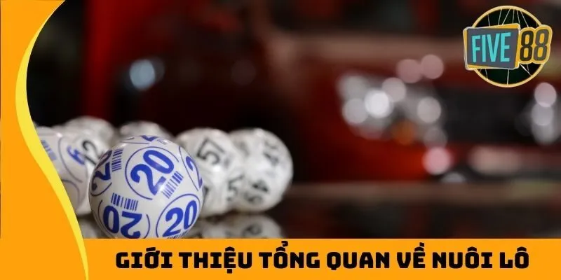 Giới thiệu tổng quan về nuôi lô