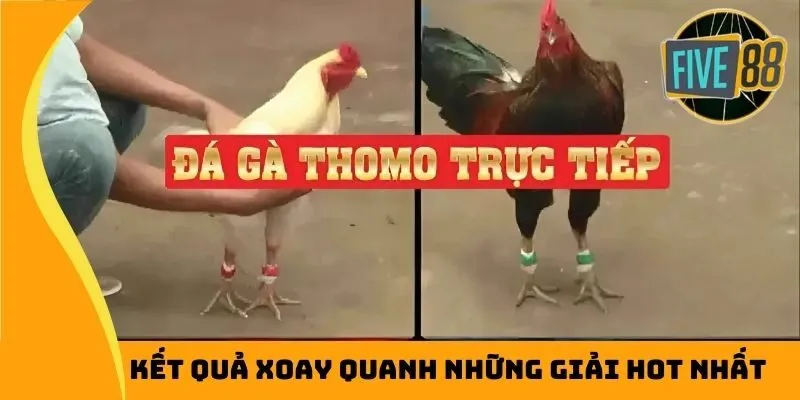 Kết quả xoay quanh những giải hot nhất